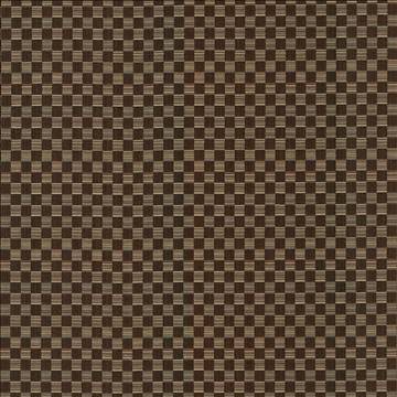 Kasmir Fabrics Check This Out Chocolate Fabric 